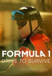 Formula 1: Drive to Survive streaming guardaserie