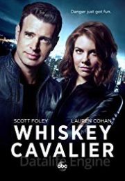 Whiskey Cavalier streaming guardaserie