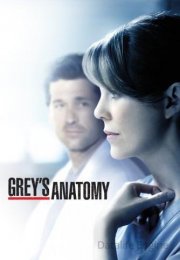 Grey's Anatomy streaming guardaserie