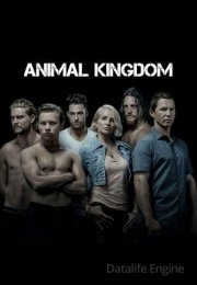 Animal Kingdom streaming guardaserie