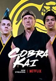 Cobra Kai streaming guardaserie