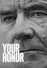 Your Honor streaming guardaserie