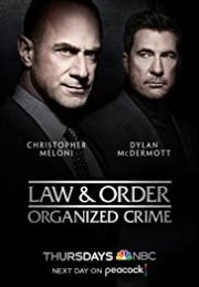 Law & Order: Organized Crime streaming guardaserie