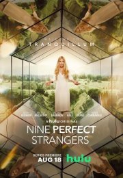Nine Perfect Strangers streaming guardaserie