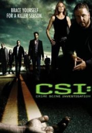 CSI: Las Vegas streaming guardaserie