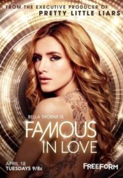 Famous in Love streaming guardaserie