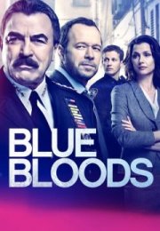 Blue Bloods streaming guardaserie