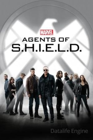 Agents of S.H.I.E.L.D. streaming guardaserie