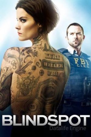 Blindspot streaming guardaserie