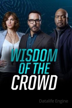 Wisdom of the Crowd - Nella rete del crimine streaming guardaserie