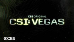 CSI: Vegas (2021) streaming guardaserie