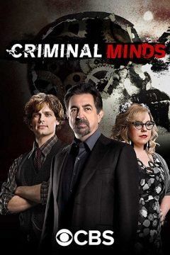 Criminal Minds streaming guardaserie