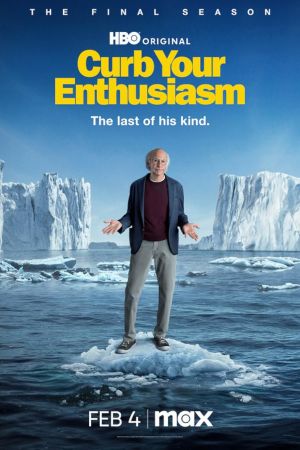 Curb Your Enthusiasm streaming guardaserie